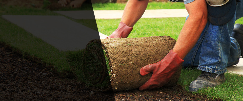 College Place Landscapers